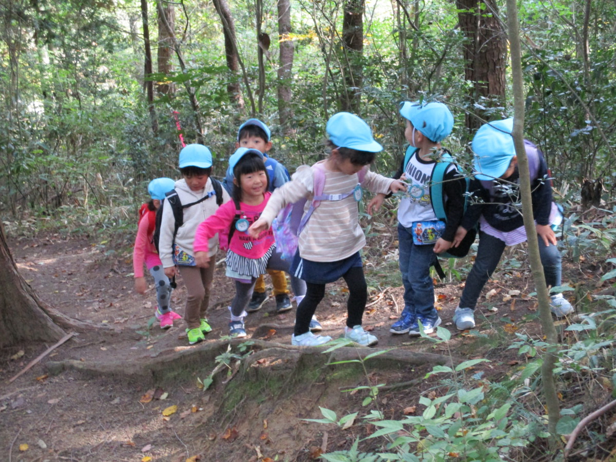 台原森林公園の園外保育