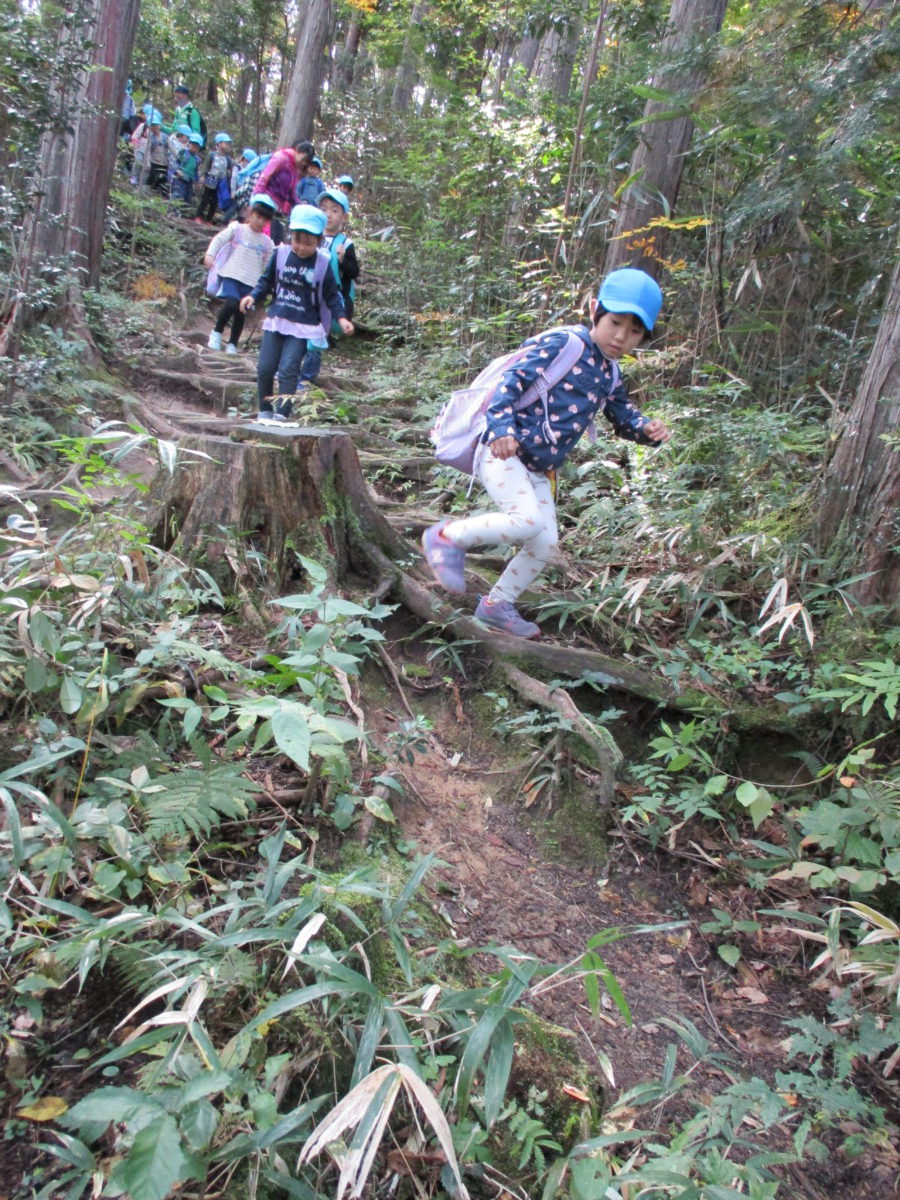 台原森林公園の園外保育