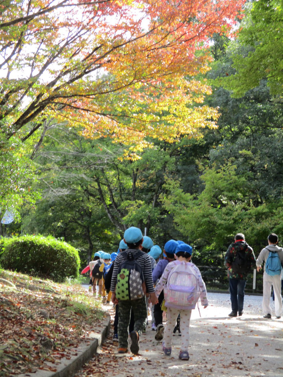 台原森林公園の園外保育